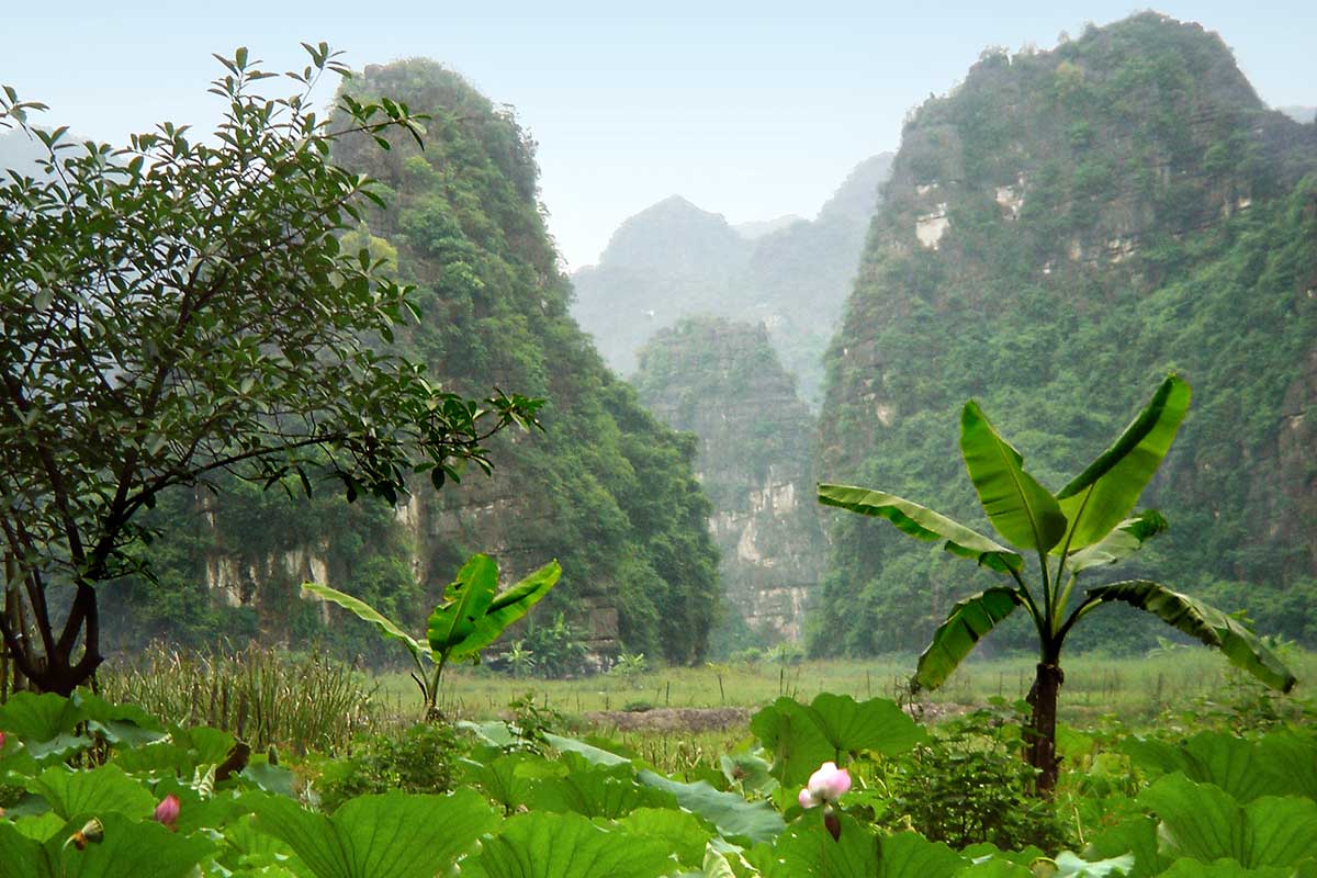 Image 15 du séjour Circuit Immersif - Vietnam Multicolore à Hanoï, Vietnam