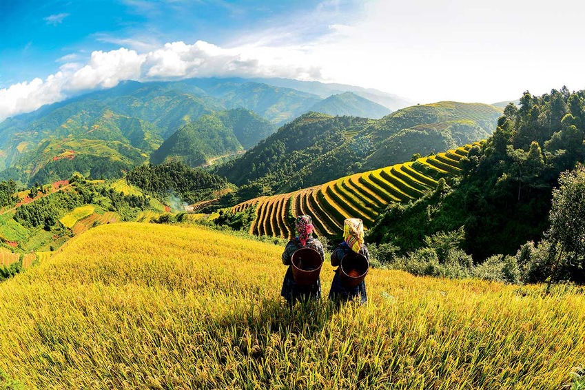 Circuit Grand Voyage De la baie d'Halong aux temples d'Angkor avec pré-tour Rizières de Sapa - TUI