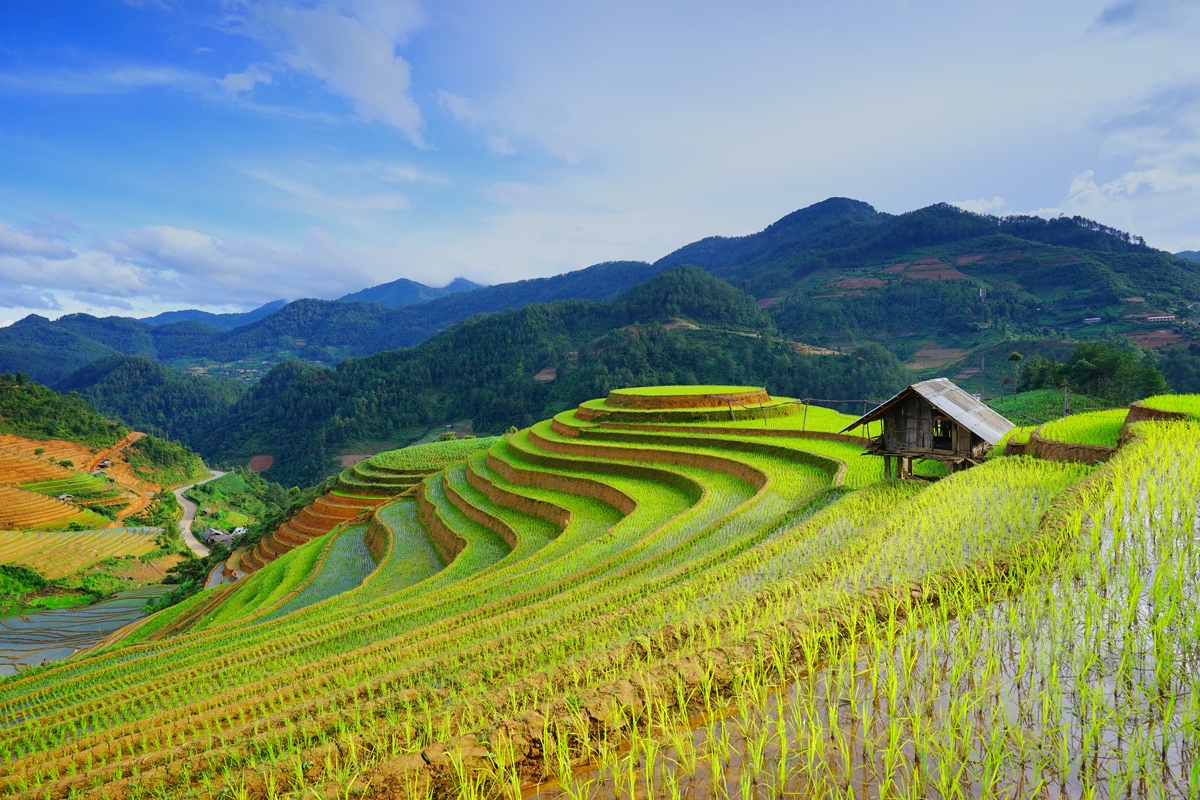 Circuit Vietnam Circuit Saveurs vietnamiennes avec pré-tour rizières de Sapa - Choix Flex