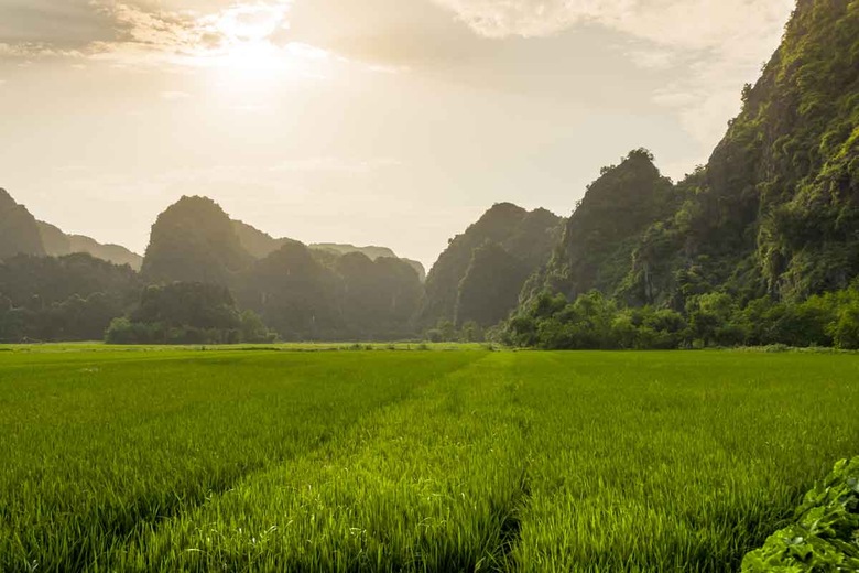 Baie d'Halong