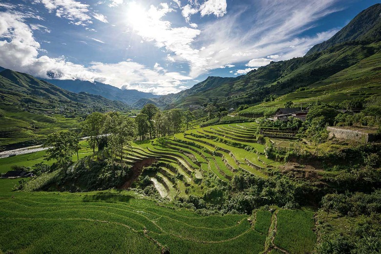 Sapa
