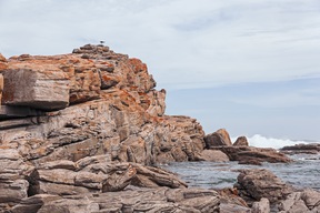 Cape Saint Francis