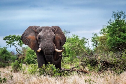 Circuit Cap sur l'Afrique du Sud - TUI
