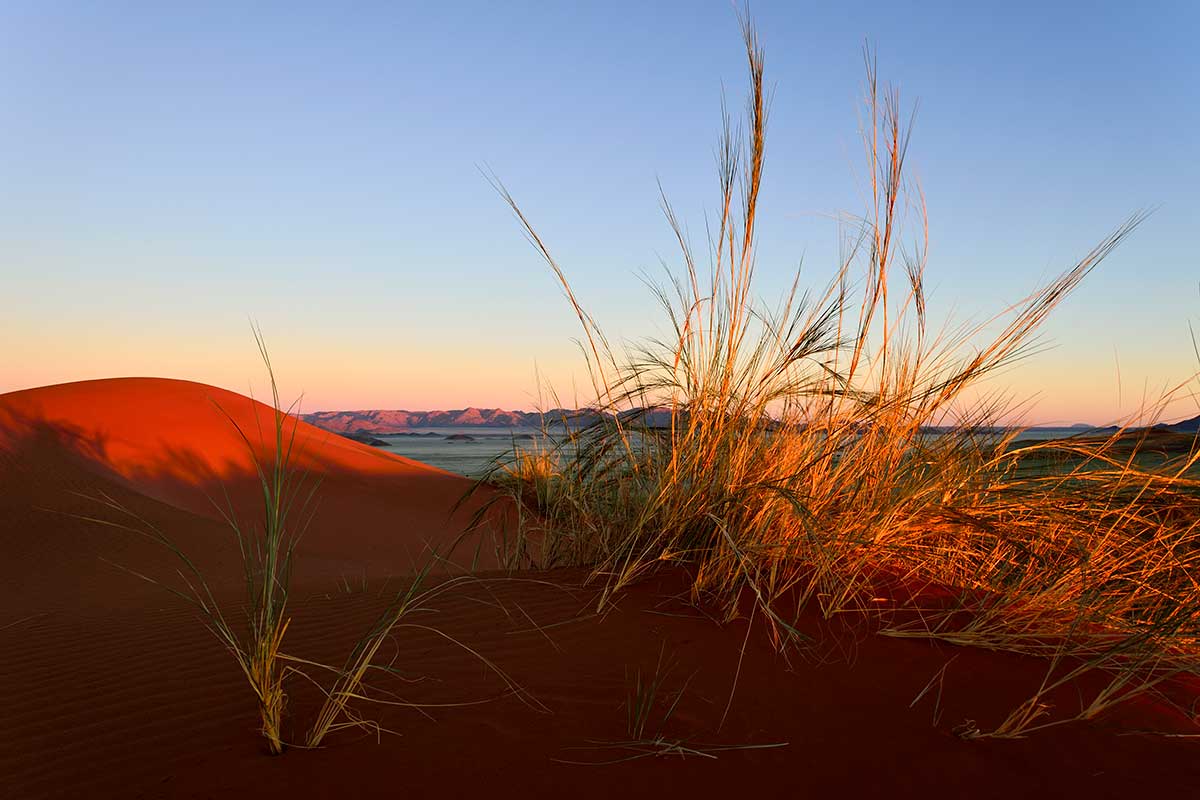 Circuit Envolée en terres australes : du Cap au désert du Namib
