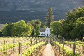 La route de vins